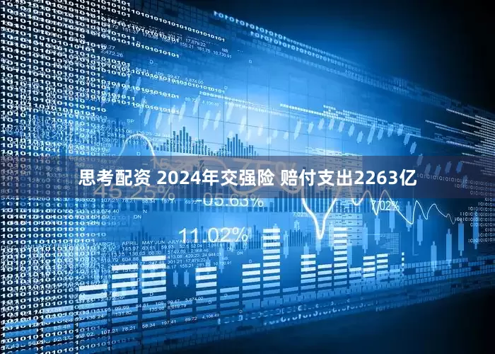 思考配资 2024年交强险 赔付支出2263亿
